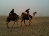 Karl on Camel in Egypt